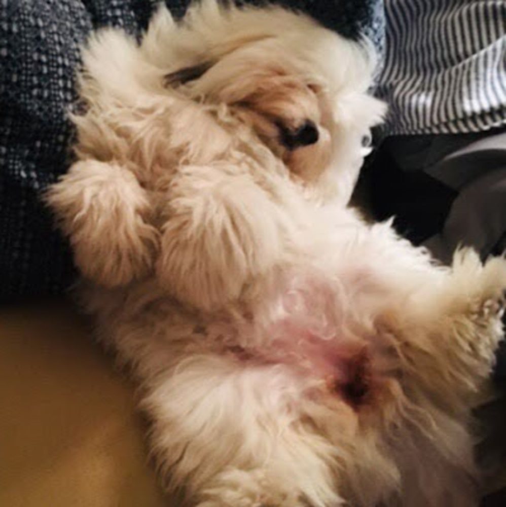 Meet your Posher, Meagan